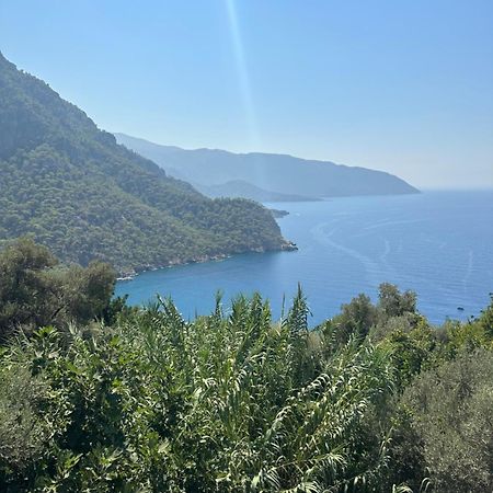 Kabak Armes Hotel Faralya Kültér fotó