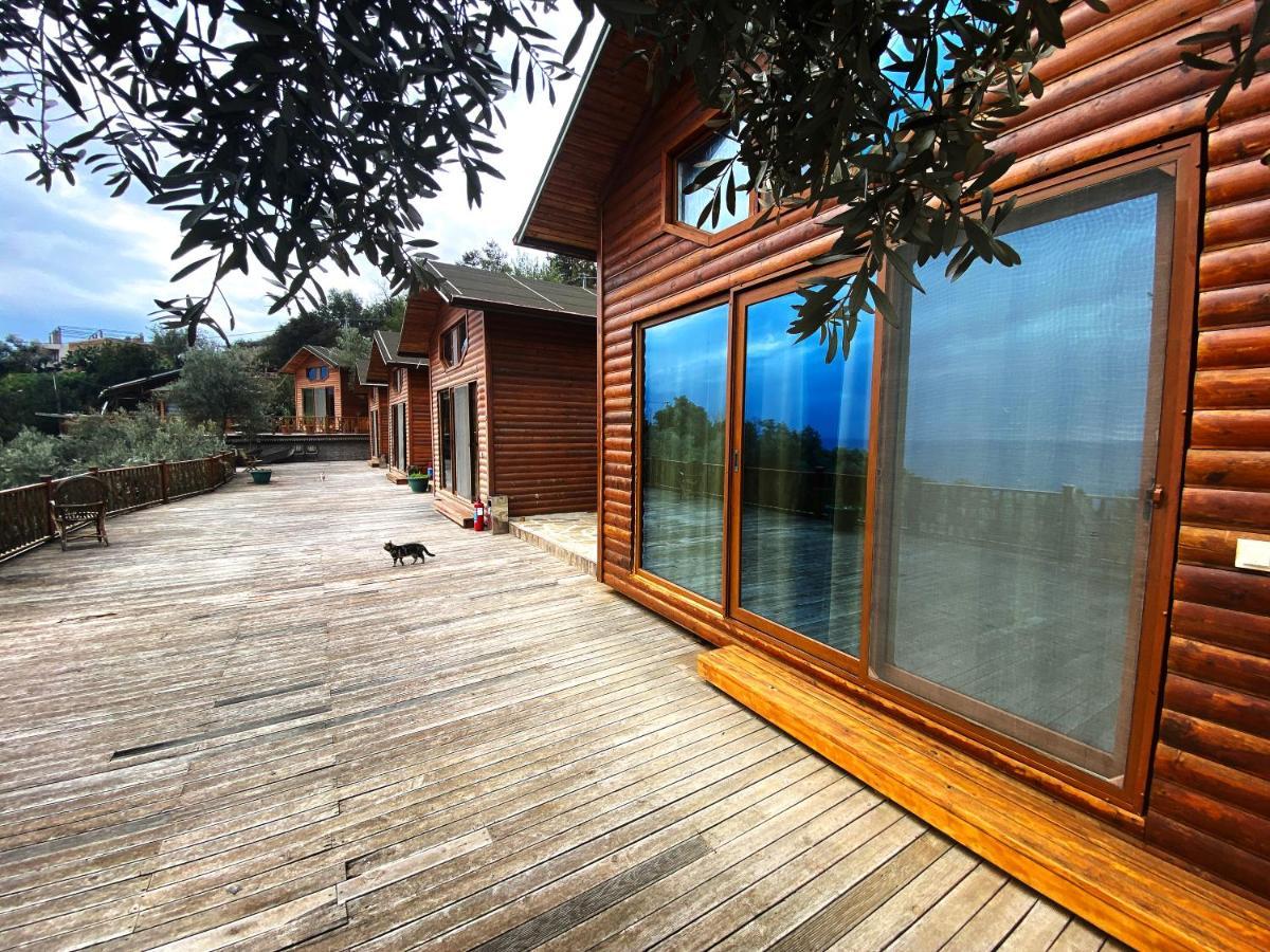 Kabak Armes Hotel Faralya Kültér fotó