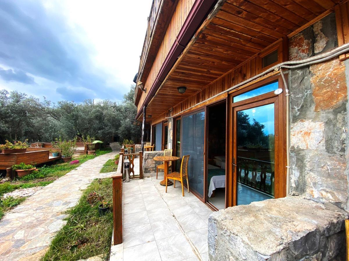 Kabak Armes Hotel Faralya Kültér fotó
